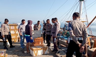 Terjaring-Dalam-Razia-Operasi-Pekat,-Polres-SBD-Berhasil-Amankan-8-Dus-Obat-Obatan-Yang-Tidak-Dilengkapi-Dokumen