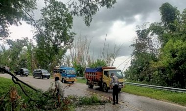 Gercap,-Sat-Lantas-Polres-SBD-Bantu-Tangani-Pohon-Tumbang-di-Jalur-Lintas-Watukanggorok