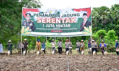 Permudah-Petani-Jual-Hasil-Panen,-Polda-Kalbar-dan-Pemkab-Bengkayang-Bangun-Pabrik-Jagung