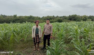 Wujudkan-Ketahanan-Pangan-Di-Desa-Binaannya,-Bhabinkamtibmas-Briptu-Anderias-G.-Ate-Tinjau-Lokasi