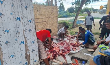 Berbagi-Berkah-di-Hari-Raya-Idul-Adha,-Polres-Sumba-Barat-Daya-Menyembelih-1-Ekor-Sapi