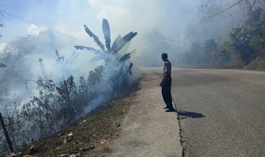 KEBAKARAN-HUTAN-TERJADI-DI-KAWASAN-HUTAN-WATU-KANGGOROK,-POLISI-BERSAMA-DINAS-KEHUTANAN-LAKUKAN-PEMADAMAN