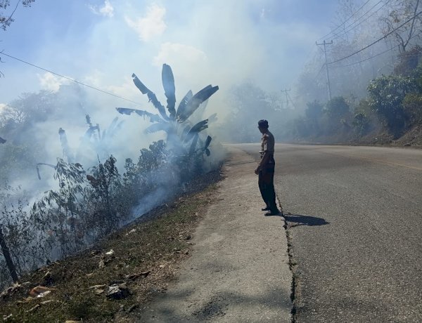 KEBAKARAN HUTAN TERJADI DI KAWASAN HUTAN WATU KANGGOROK, POLISI BERSAMA DINAS KEHUTANAN LAKUKAN PEMADAMAN