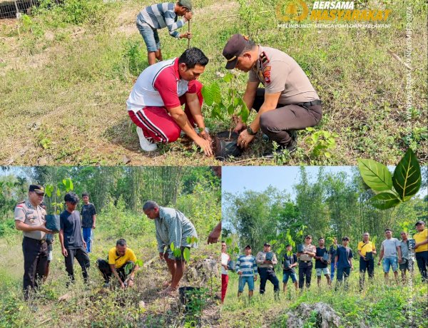 POLISI BERSAMA MASYARAKAT, POLSEK WEWEWA BARAT TANAM 12 BIBIT POHON MAHONI MELALUI PROGRAM GREEN POLICING