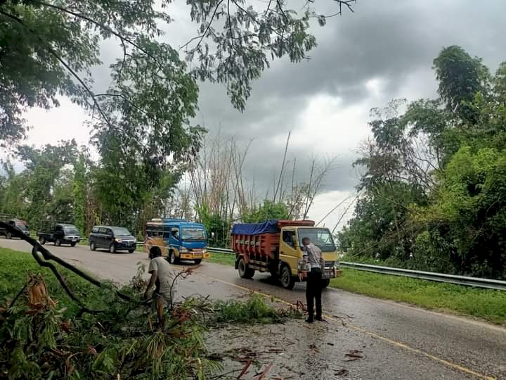 Gercap, Sat Lantas Polres SBD Bantu Tangani Pohon Tumbang di Jalur Lintas Watukanggorok