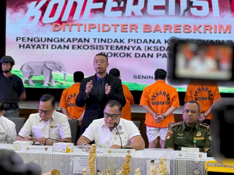 Dittipidter Bareskrim Polri Ungkap Perdagangan Ilegal Gading Gajah di Sukabumi dan Jakarta