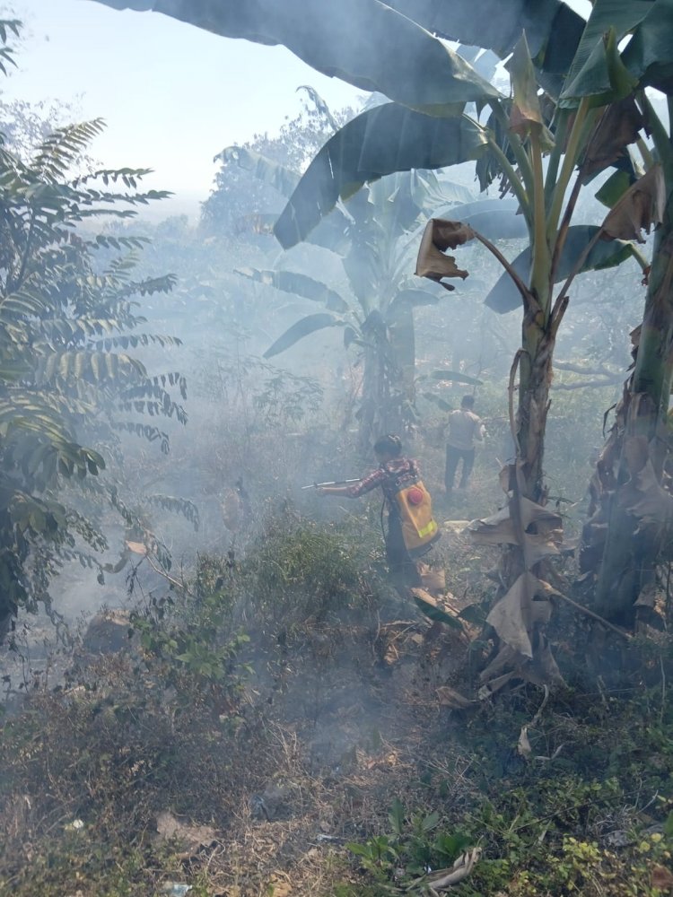 KEBAKARAN HUTAN TERJADI DI KAWASAN HUTAN WATU KANGGOROK, POLISI BERSAMA DINAS KEHUTANAN LAKUKAN PEMADAMAN